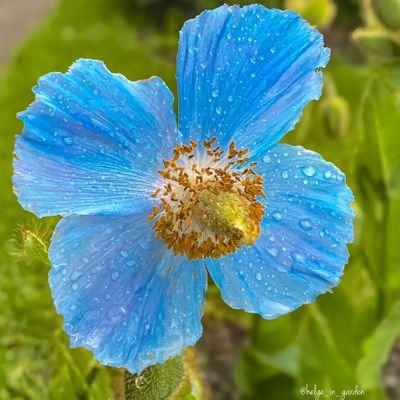 Davidwilliams6q's profile picture. Never give up just Accept life and move on ..🌺🌺🌺🌹