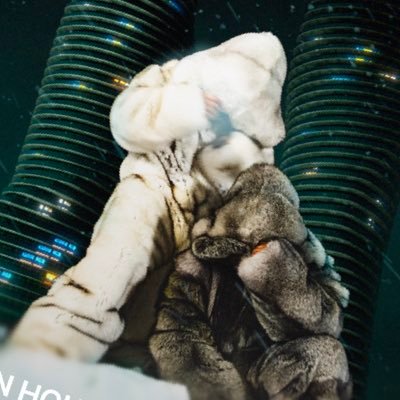 CtreVV26's profile picture. 