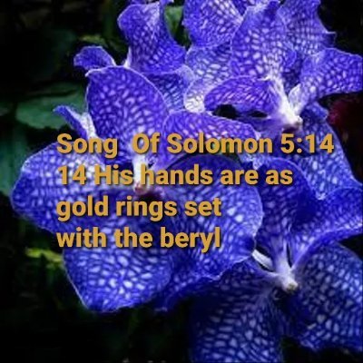 BBA Fin 08 1997. Ho Chri Univ, formerly HBU. 100% follower of GOD, GOD IN JESUS, & GOD IN HOLY SPIRIT.
Jesus is the Truth, the Way, and the Life. St John 14:6