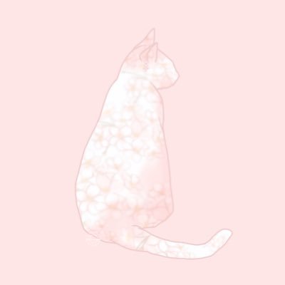 ねこさんのプロフィール画像