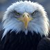 CODE NAME * P76F33S78RG36I87 * THE ANGRY AMERICAN (@orlandorob90981) Twitter profile photo CODE NAME * P76F33S78RG36I87 * THE ANGRY AMERICAN (@orlandorob90981) Twitter profile photo