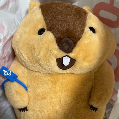 yamada500000's profile picture. 雑多垢  #チェンソーマン  #ぼざろ #廣井きくり #ヤクルト☂️ #つばみ🎀 #中島由貴 #ゆきすと❄️ #工藤晴香 #Roselia🌹 #AveMujica🌙 #MyGO!!!!! #トゲナシトゲアリなどなど 熱しやすく冷めやすい 深呼吸大切！ 本当に好きな物だけ残す(断捨離する)できる