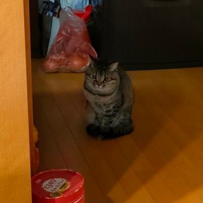 misoshi1214's profile picture. 謎解きとなごげアカにしたい所存。NGME.Fl