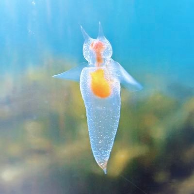 LiRyoga's profile picture. 人生ぅたかたの旅、せめて佳い人と佳い旅をしたい