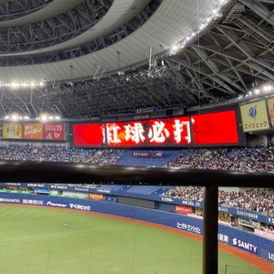 bosutonnikitai's profile picture. 趣味 野球観戦 筋トレ  💗吉田正尚💗