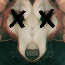 heavydirtydoqさんのプロフィール画像