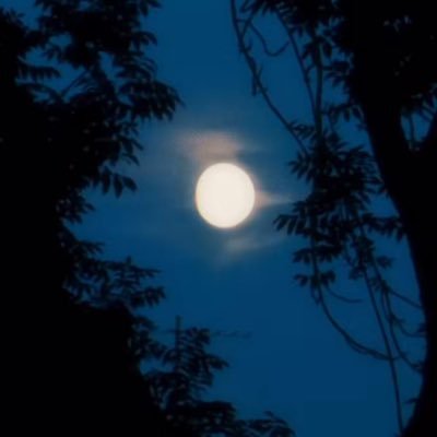 graduate | #general_chemistry |🧪🤍. If you want to set a goal, aim at the stars, because if you don't reach the stars, you will definitely reach the moon.