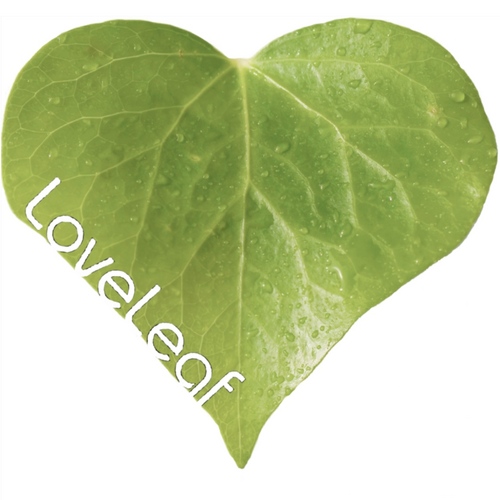 LoveLeafCO2's profile picture. LoveLeaf is a UK based carbon offsetting company. Offset your vehicle emissions today at http://t.co/Uvmu6IfyHC