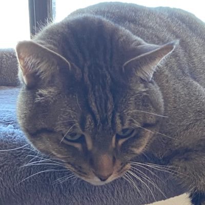 Mike Profile