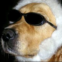 ItzJørdan (@itzjordan_1) 's Twitter Profile