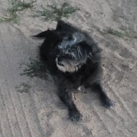 EBB (@n3v3rr3tr3at) 's Twitter Profile