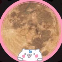 月華（げっか）🌸 (@gekka_0) 's Twitter Profile Photo