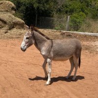Dario (@ledesma_or54390) 's Twitter Profile