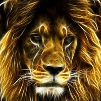 Yamanouchi 🇨🇿🇺🇦🇹🇼🇮🇱