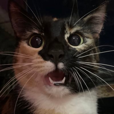 matateimbesil's profile picture. YO LO DARÍA TODO POR TI 520 luks