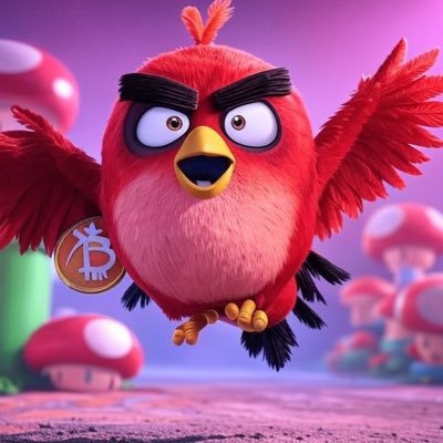 zggm528's profile picture. DDDD