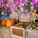 ERNEST GORE - @ERNESTGORE - Twitter