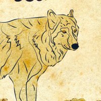 Pascal the Jackal (@pascaljackal) 's Twitter Profile
