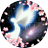 miko3360