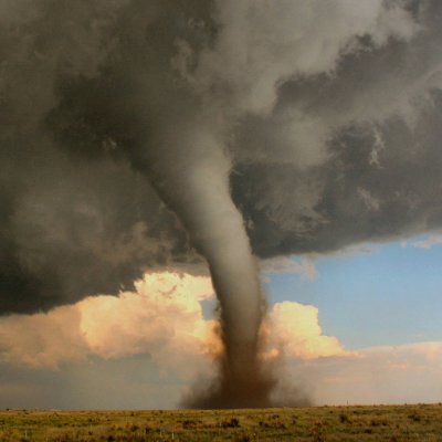 covy_weather's profile picture. 