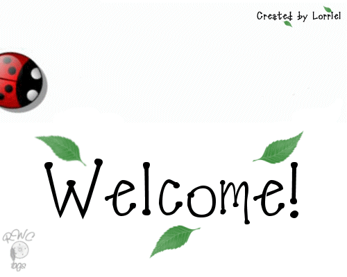 SocialLadybird's profile picture. We specialise in helping businesses maximise the potential for generating clients and customers through social networks!