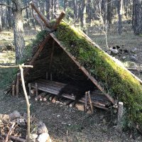 Bushcraft Dawgs (@bushcraftdawgs) 's Twitter Profile