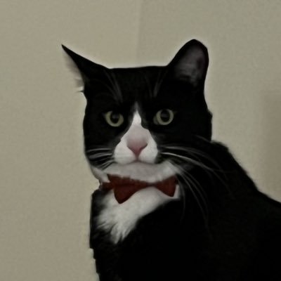 Balder 猫哥