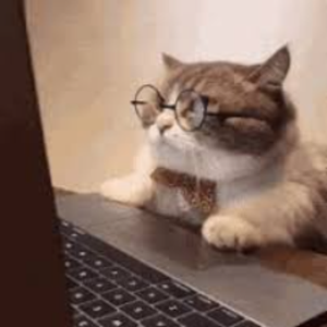 Proudly Canadian since 1988 🇨🇦
Friendly neighbourhood keyboard cat 🐈
Lead Software Engineer & Full-Stack Architect 👨💻
Keeping Kayfabe alive 🤼♂️
