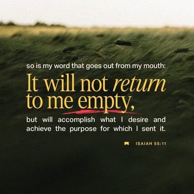 NyagaEdith1's profile picture. Mum. Child of God. Follower of Christ. Believer in a better, prosperous Kenya.