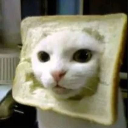 wetcerealss's profile picture. if you're reading this i love you