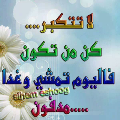 fdsagsdfg64299's profile picture. 