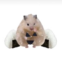 h1_y0ung (@h1y0ung_) 's Twitter Profile Photo h1_y0ung (@h1y0ung_) 's Twitter Profile Photo