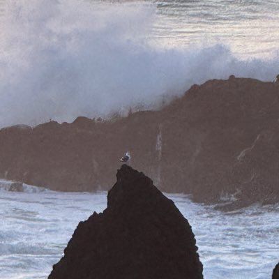 craman96's profile picture. views are my own and subject to change