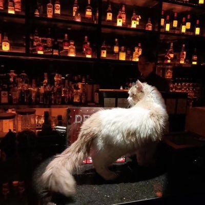 lemonSoda_QAQ's profile picture. 