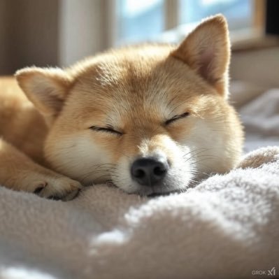 minarai_camera's profile picture. カメラ初心者のみならいです🔰 ポートレート撮影はじめました📷 心に残る写真が撮れるよう研鑽を積んで参ります💪みなさまよろしくお願いします🙇