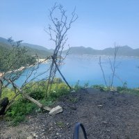 Tấn Tùng Huỳnh (@tan75751huynh) 's Twitter Profile