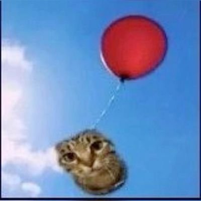 ArdCetis's profile picture. we are all made of sex