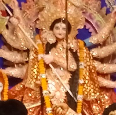 Anjaney_Rudra's profile picture. 