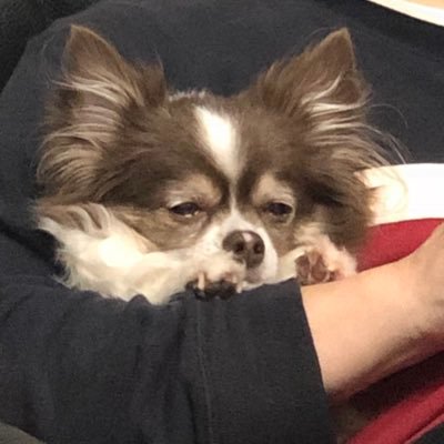 DMKnyLqFxX9636's profile picture. 