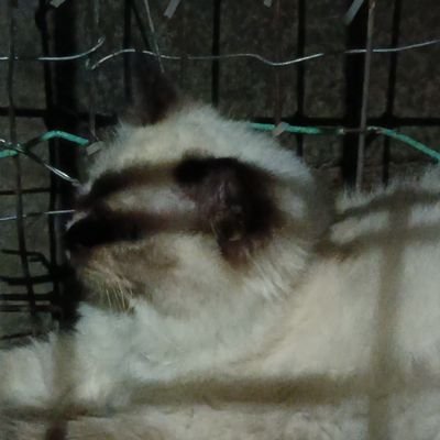 jztsxf's profile picture. 