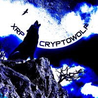 . (@xrpcryptowoi) 's Twitter Profile