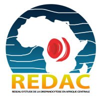 REDAC Sickle Cell Disease Research Network Africa (@redacnetwork) 's Twitter Profile