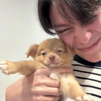 강아지 (@selthity) 's Twitter Profile