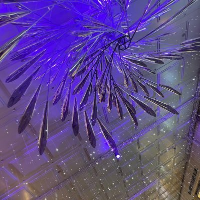 u000x000u's profile picture. 成人済。🟦⛓️CP分けたくて登録しました。今のところngro、rongです。白宝愛でたい。どこかで似たような絵柄見かけてもそっとしておいてください。とても雑食です。絵の勉強中。