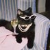 𝙗𝙖𝙗𝙚𝙢𝙚𝙡 (ล์z) 🐈🫧 (@nuatdeeja_) Twitter profile photo 𝙗𝙖𝙗𝙚𝙢𝙚𝙡 (ล์z) 🐈🫧 (@nuatdeeja_) Twitter profile photo