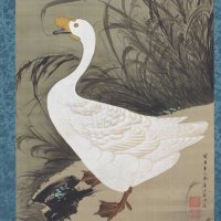 CelestialObserver (@clstlobserver) 's Twitter Profile