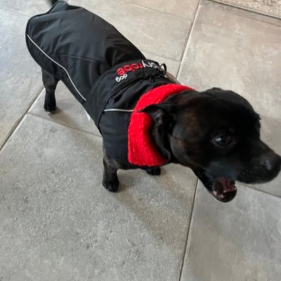 IndyWelsh's profile picture. 