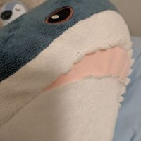 むん (@regene_fiore) Twitter profile photo