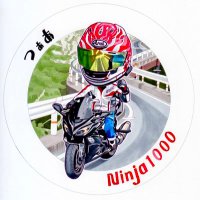 つぁあ (@ninja250z33) 's Twitter Profile Photo