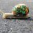 andregrodrigues's profile image